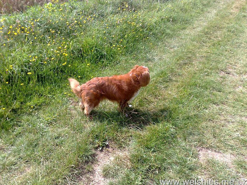 2011-07-31 02.jpg